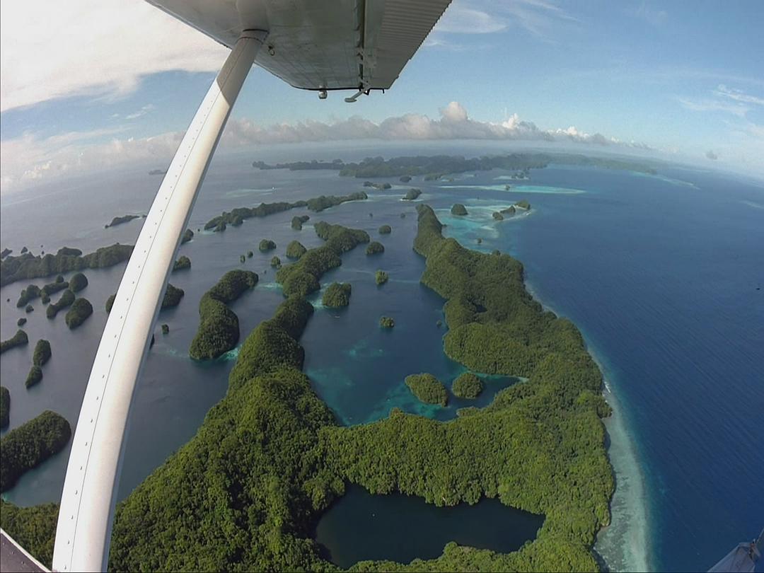 生命海洋 The Living Sea