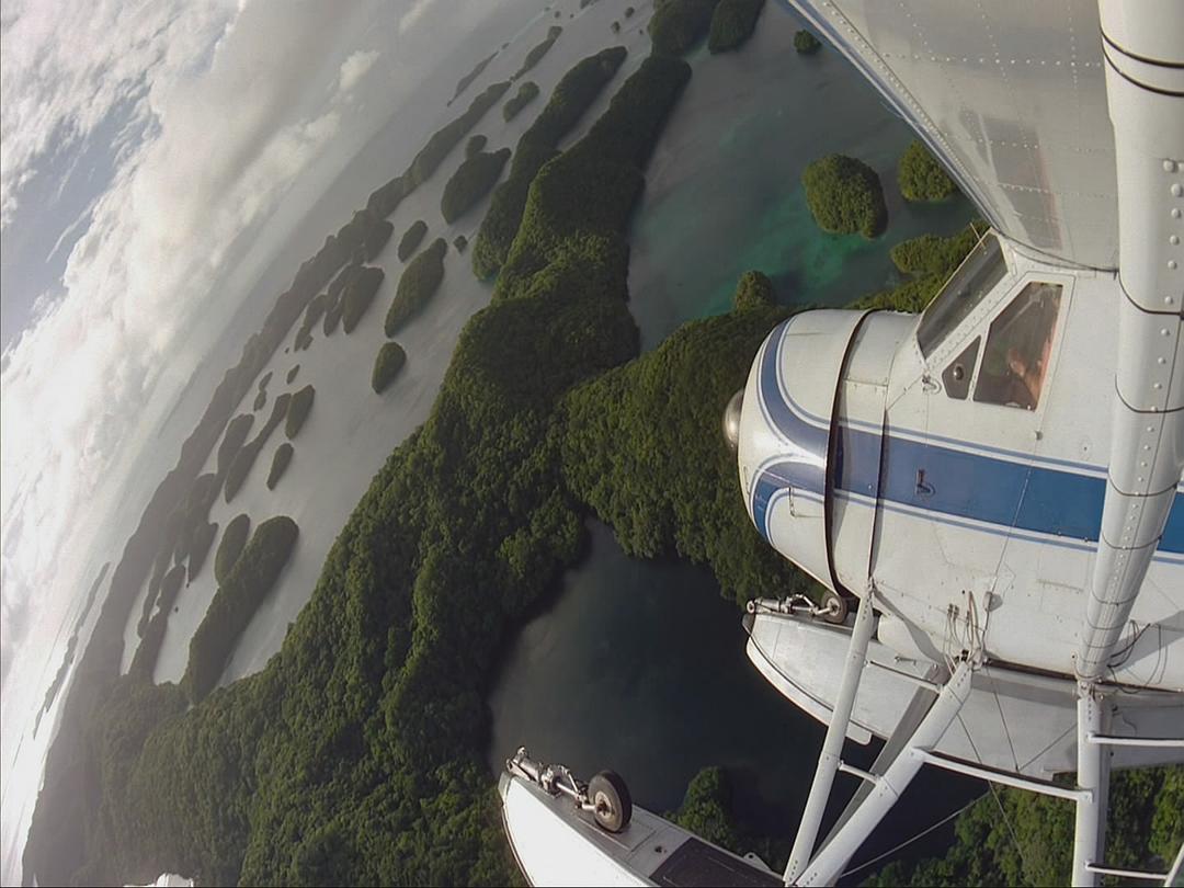 生命海洋 The Living Sea