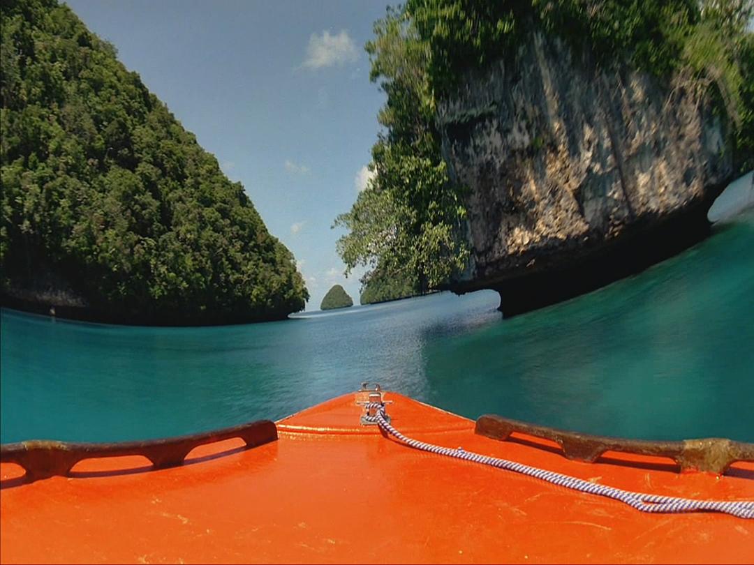 生命海洋 The Living Sea