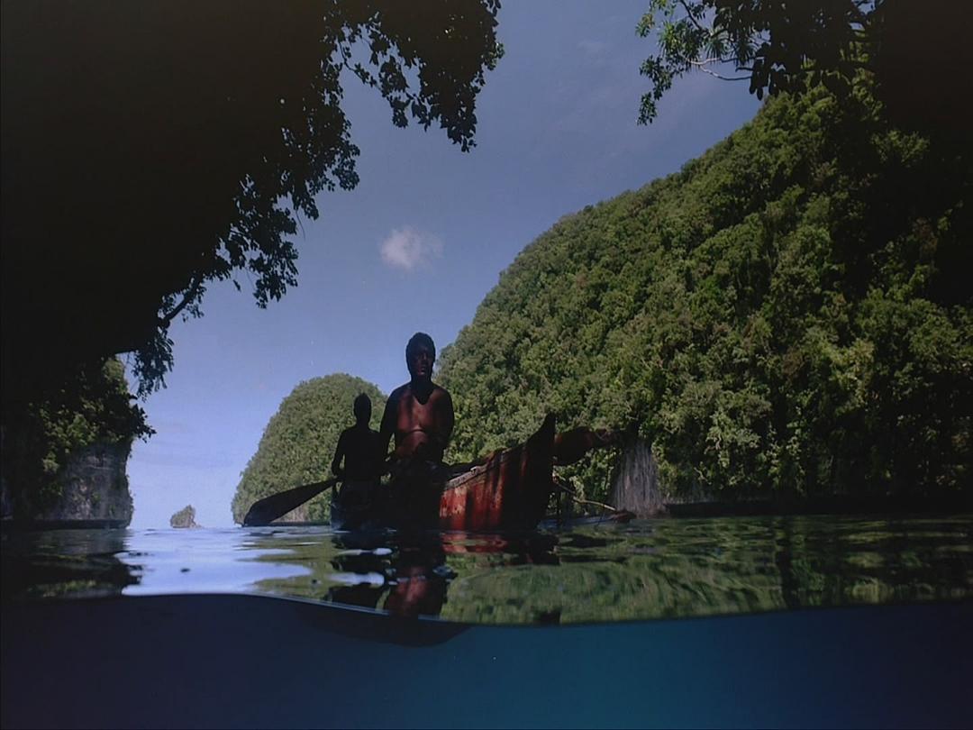 生命海洋 The Living Sea