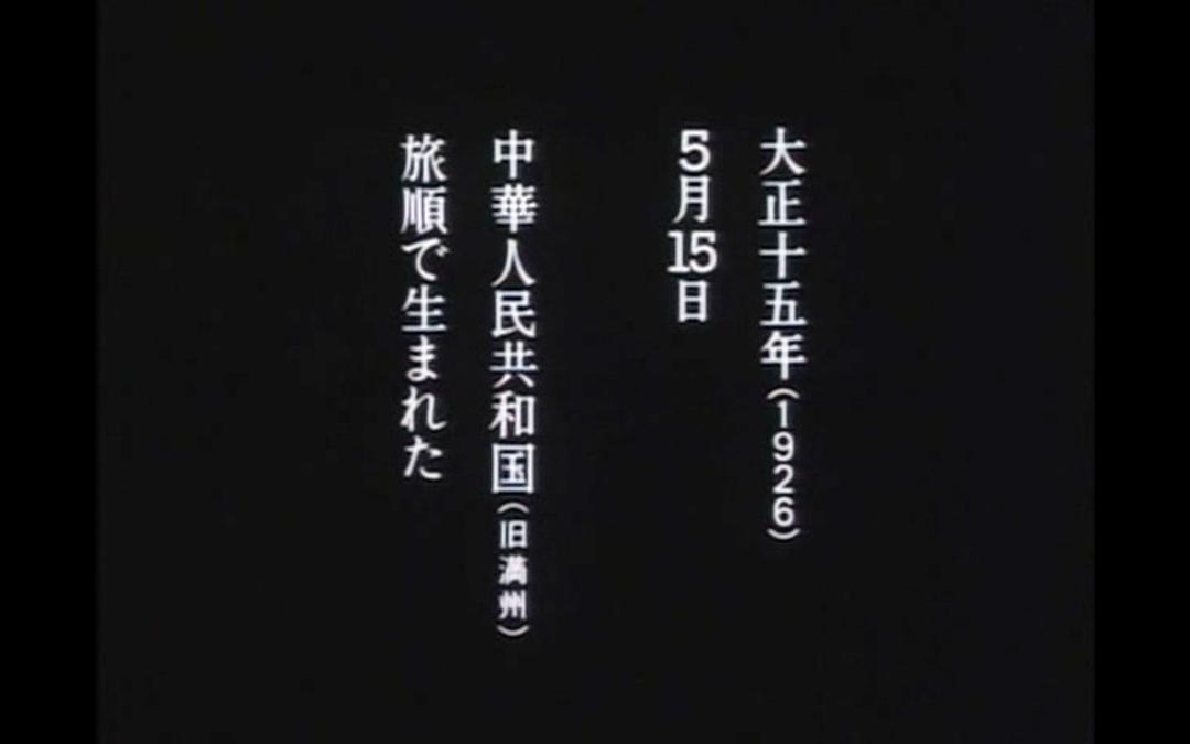 全身小说家 全身小説家