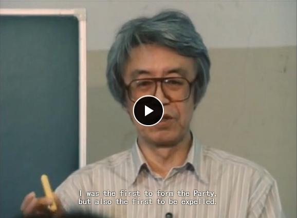 全身小说家 全身小説家