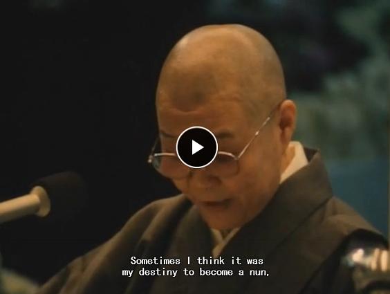 全身小说家 全身小説家