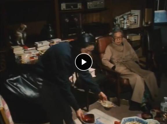 全身小说家 全身小説家