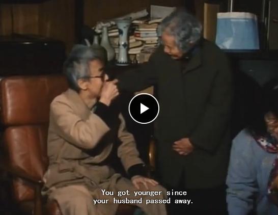 全身小说家 全身小説家