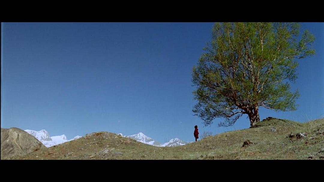 喜马拉雅 Himalaya – l'enfance d'un chef