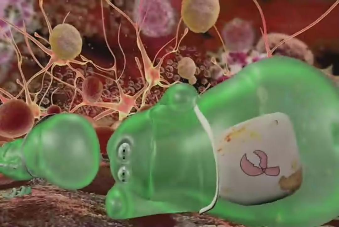 我们到底知道多少? What the Bleep Do We Know!?