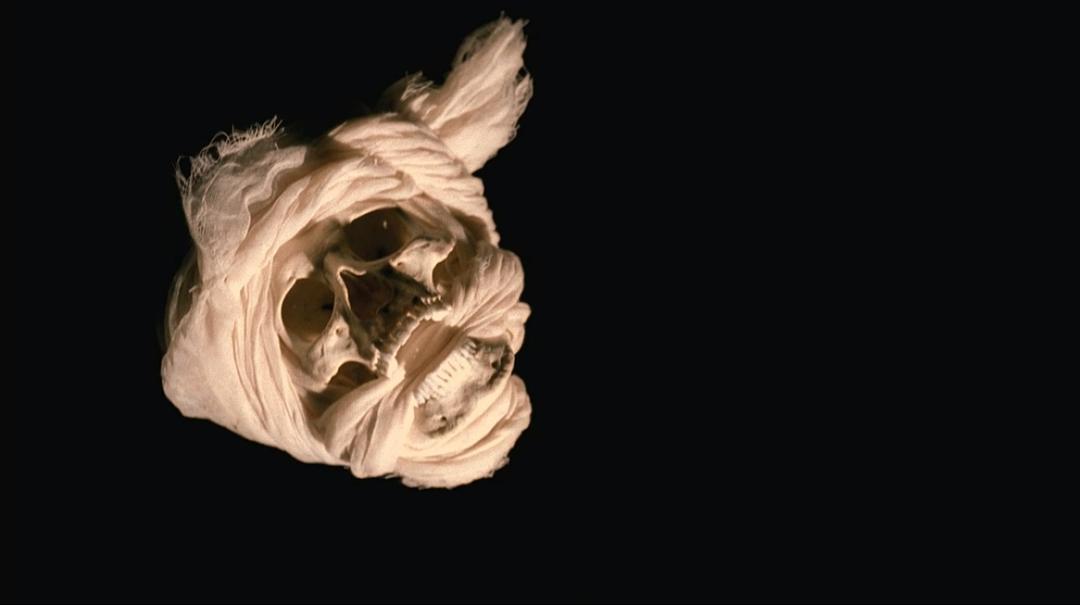 战争迷雾 The Fog of War