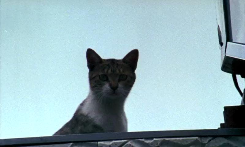 日月无光 Sans soleil