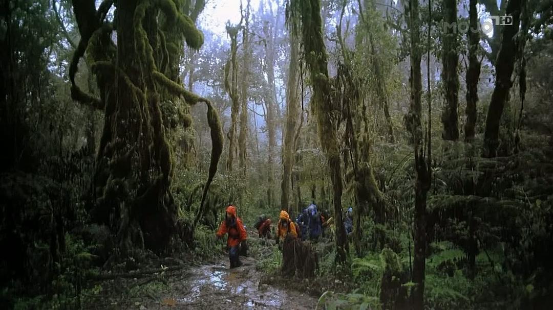 乞力马扎罗 Kilimanjaro: To the Roof of Africa