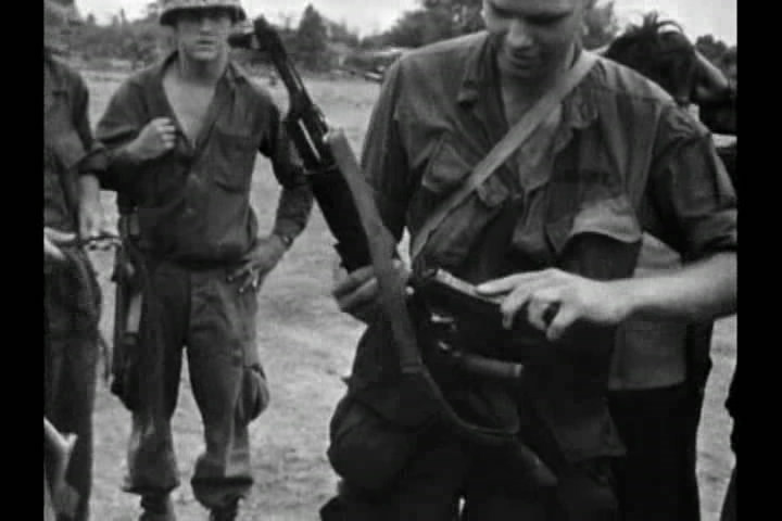 猪年 In the Year of the Pig