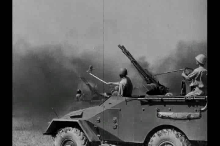 猪年 In the Year of the Pig