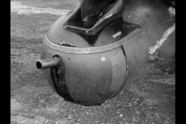 猪年 In the Year of the Pig