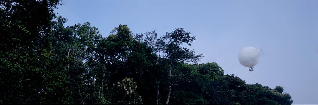 白钻石 The White Diamond