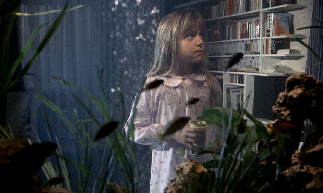 第七大陆 Der siebente Kontinent