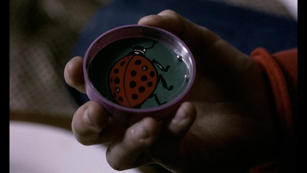 第七大陆 Der siebente Kontinent