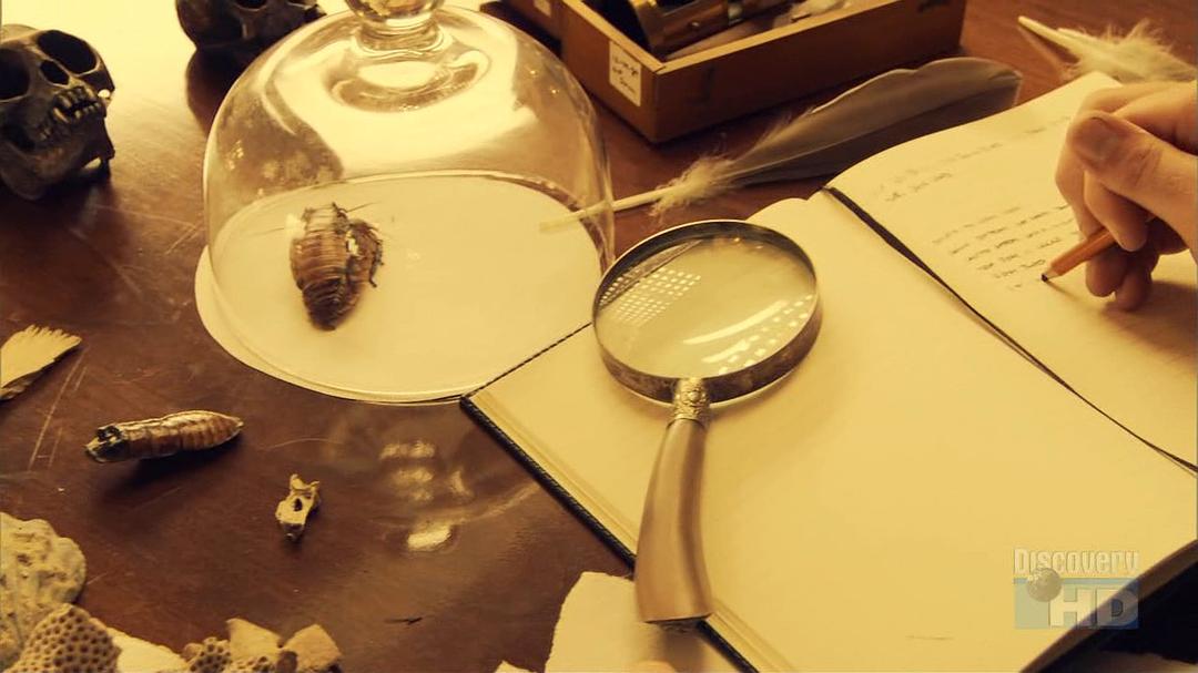 史上100个伟大发现 100 Greatest Discoveries