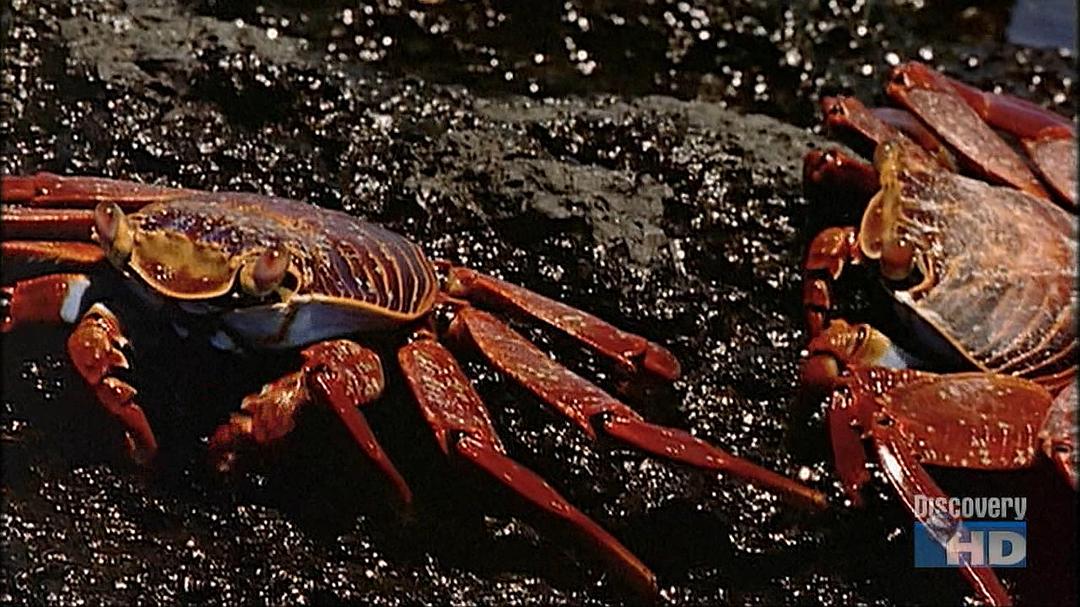 史上100个伟大发现 100 Greatest Discoveries