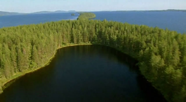 野性欧洲 Wild Europe