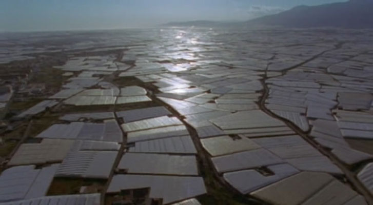 野性欧洲 Wild Europe