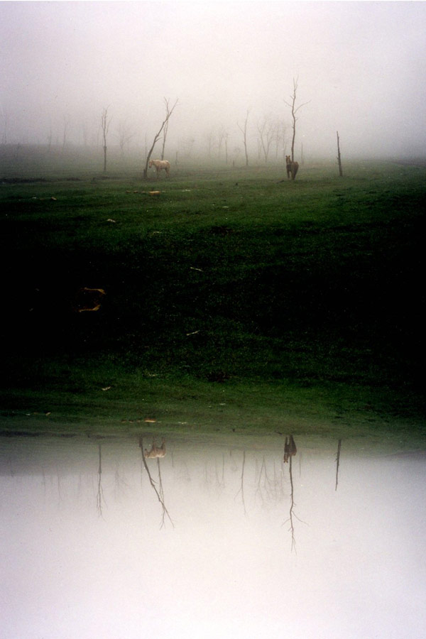 三个忧郁的房间 Melancholian 3 huonetta