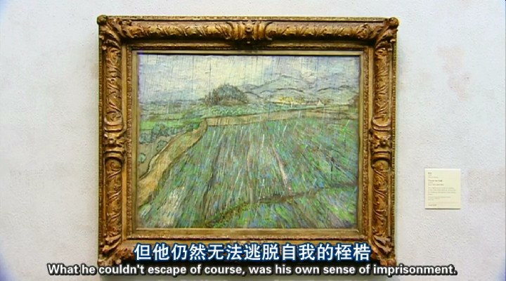 文森特· 凡· 高全传 Vincent: The Full Story