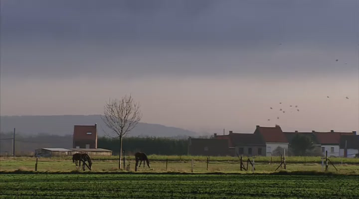 文森特· 凡· 高全传 Vincent: The Full Story