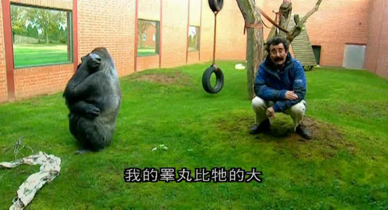 人类本能 Human Instinct