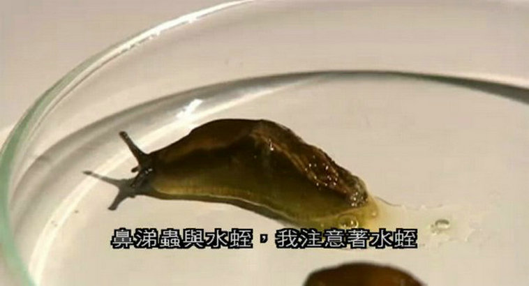 人类本能 Human Instinct