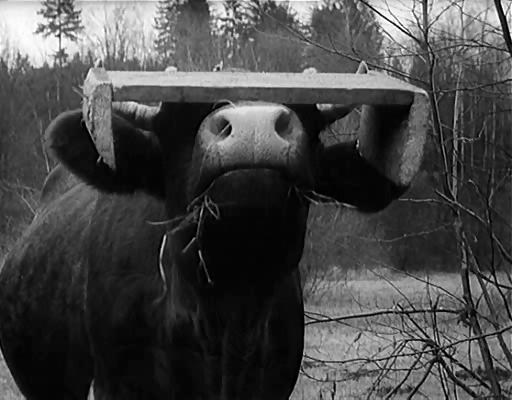 旧世界群像 Obrazy starého sveta