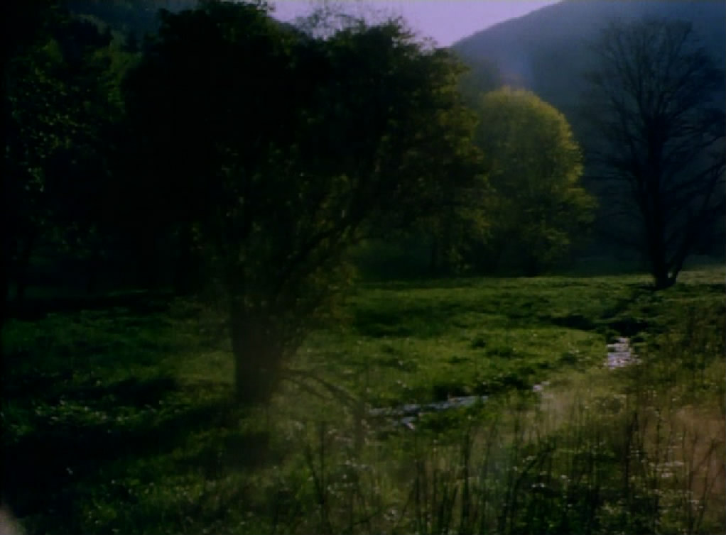 X射线 Prześwietlenie