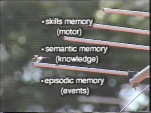 当记忆失去了 記憶が失われた時