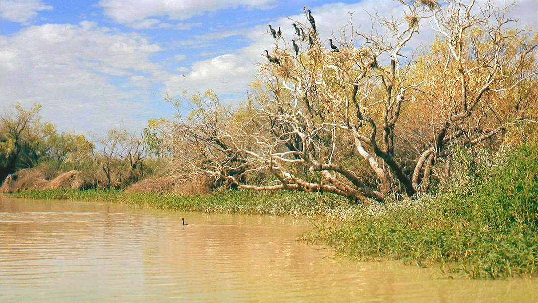 澳洲奇趣之旅 Australia: Land Beyond Time