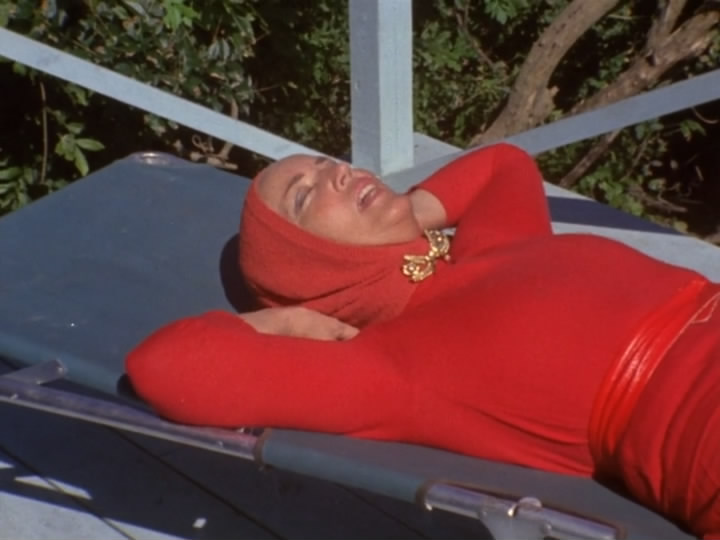 灰色花园中的比尔母女 The Beales of Grey Gardens