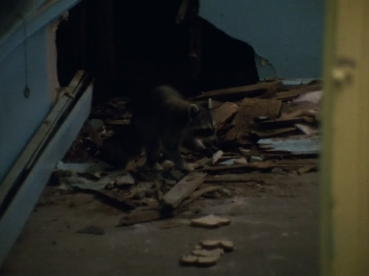 灰色花园中的比尔母女 The Beales of Grey Gardens