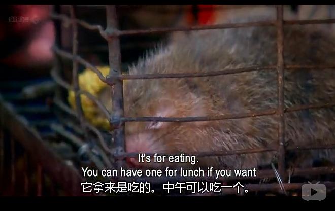 驾车看中国 第一季 China on Four Wheels Season 1