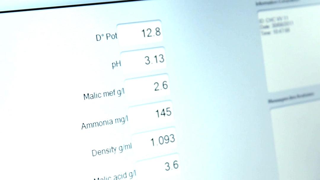 在勃艮第的一年 A Year in Burgundy