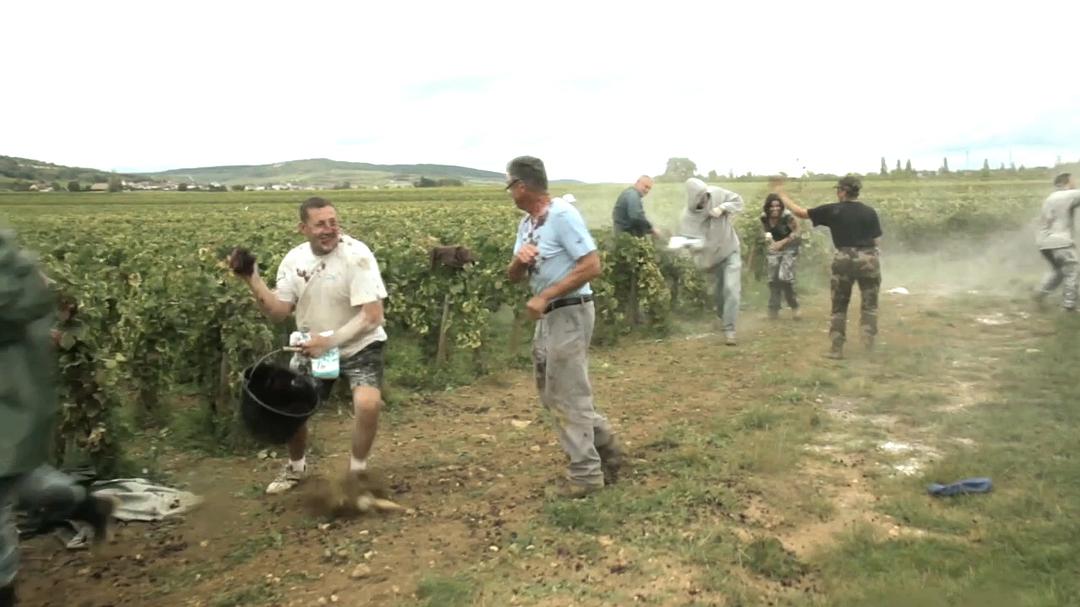 在勃艮第的一年 A Year in Burgundy