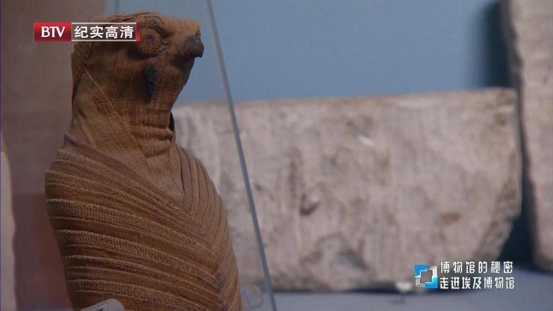 博物馆之谜 第一季 Museum Secrets Season 1