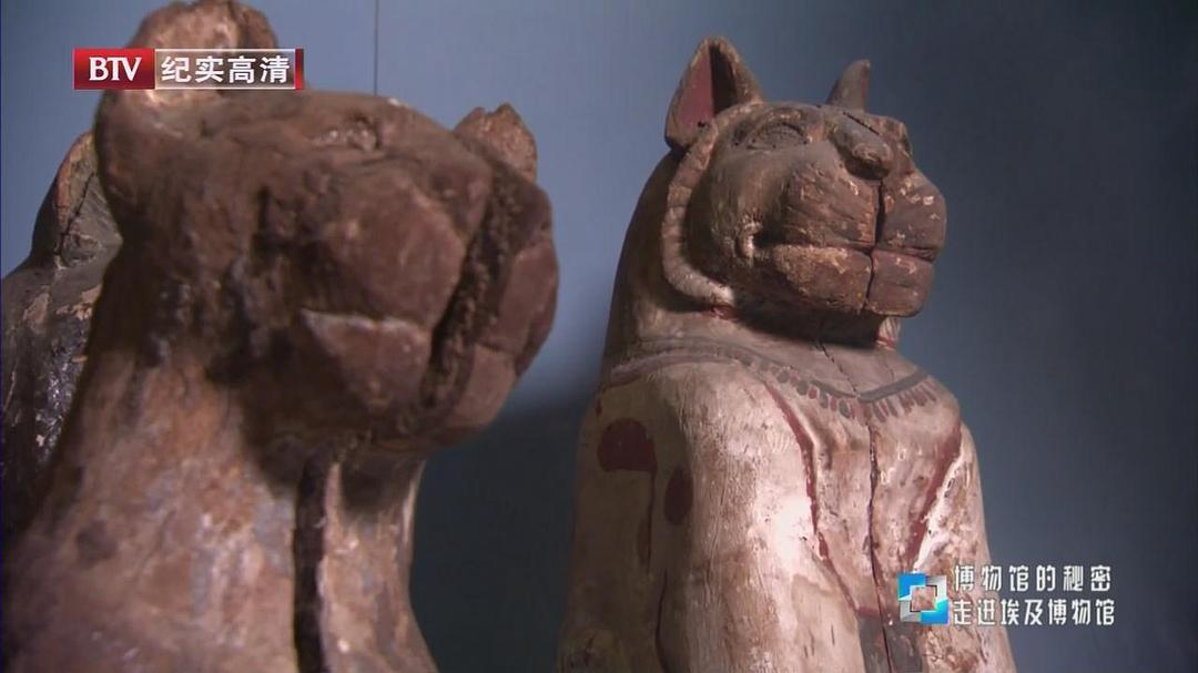 博物馆之谜 第一季 Museum Secrets Season 1