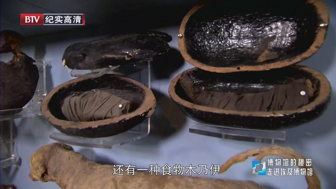 博物馆之谜 第一季 Museum Secrets Season 1