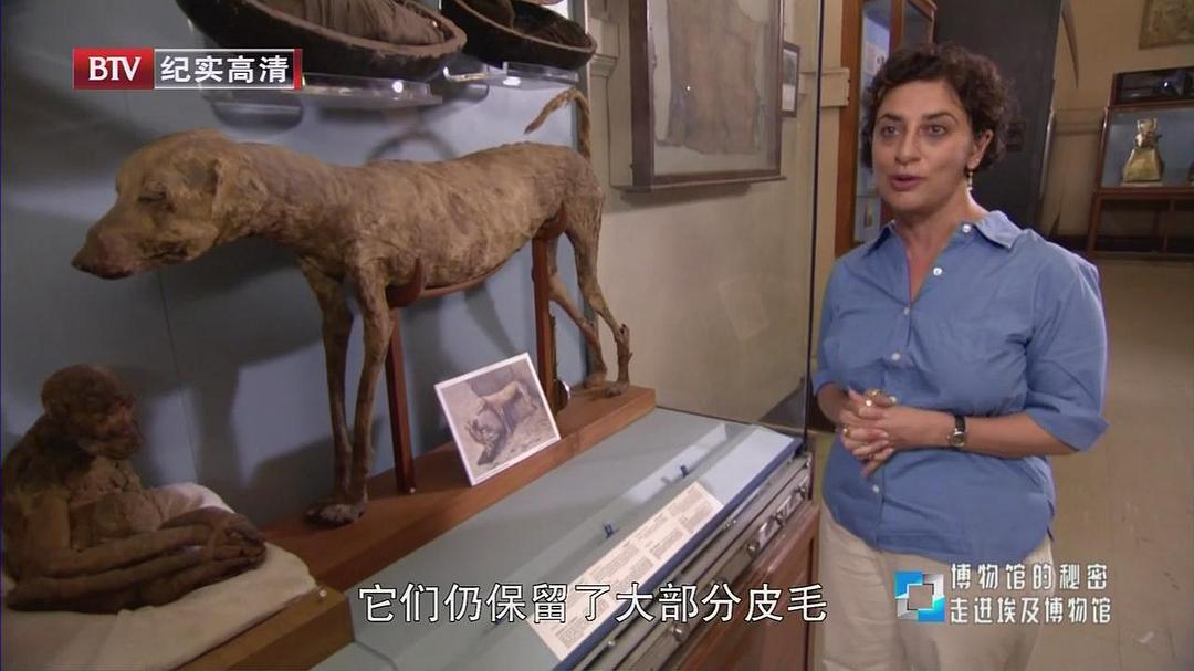 博物馆之谜 第一季 Museum Secrets Season 1
