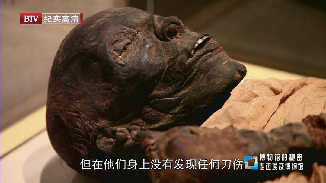 博物馆之谜 第一季 Museum Secrets Season 1