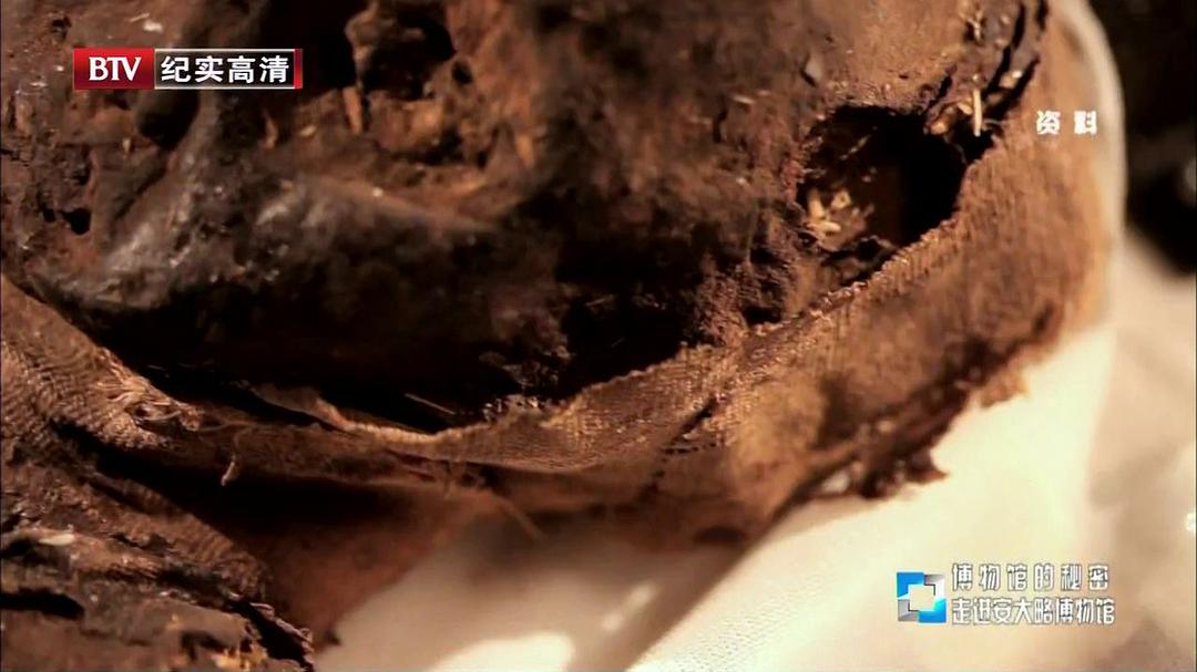 博物馆之谜 第一季 Museum Secrets Season 1