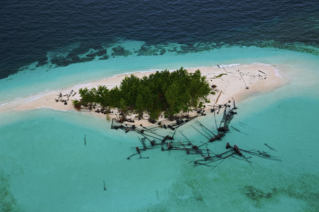 海洋星球 Planet Ocean