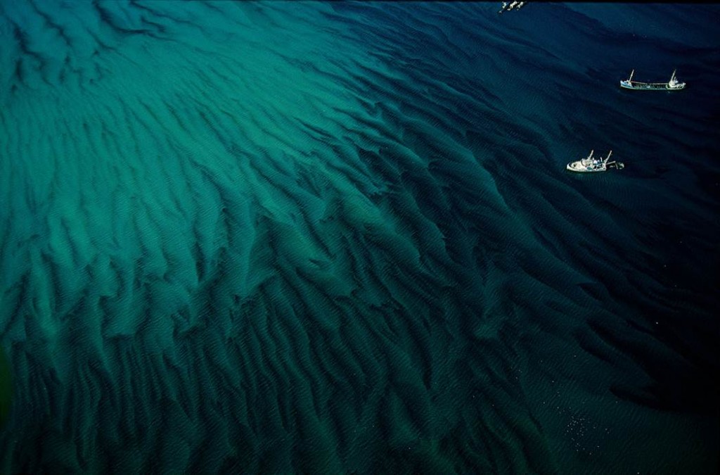 海洋星球 Planet Ocean