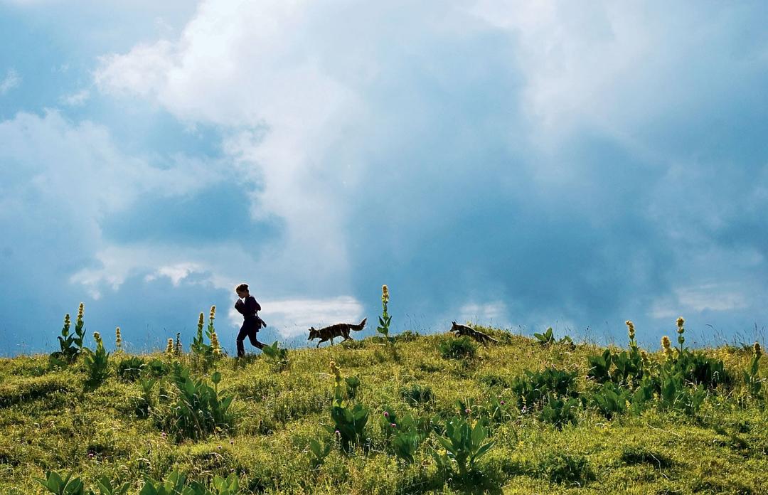 狐狸与我 Le renard et l'enfant