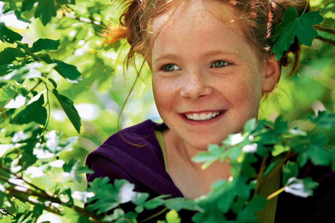 狐狸与我 Le renard et l'enfant