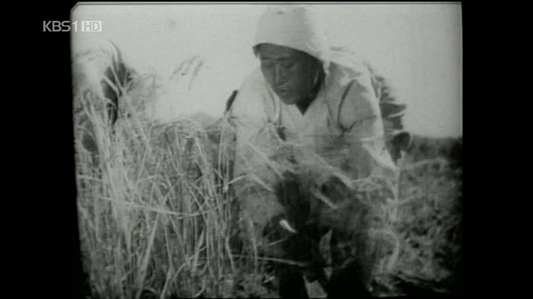 朝鲜战争 한국 전쟁