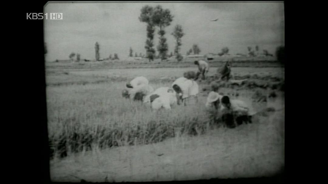 朝鲜战争 한국 전쟁